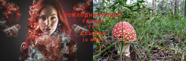 трава Козловка